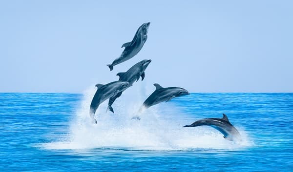 極めて大事な死生観