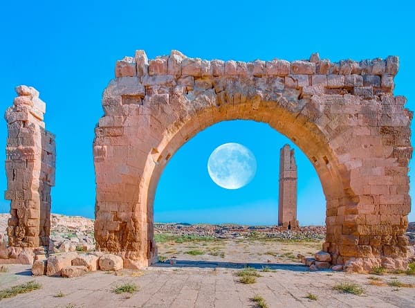 使命は人類最大の富