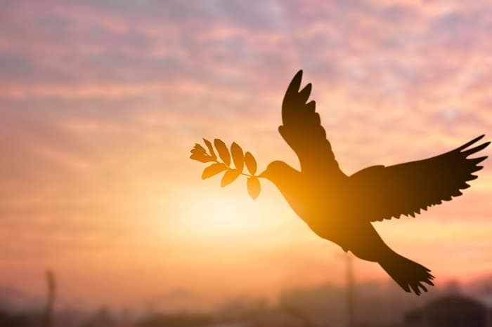 ガザ紛争は今後の国際社会の紛争解決・復興のモデルになるか