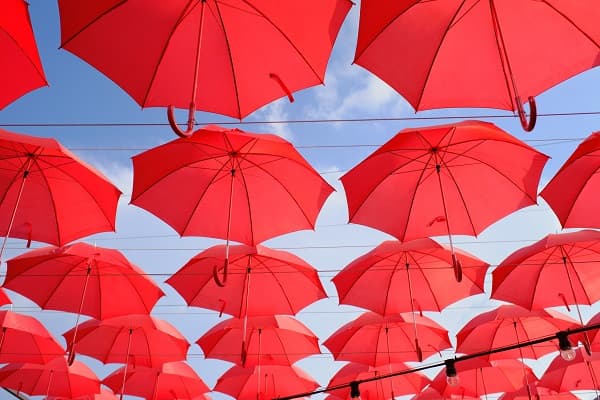 株取引で大損しないためには“欲と恐怖”の大衆心理は禁物