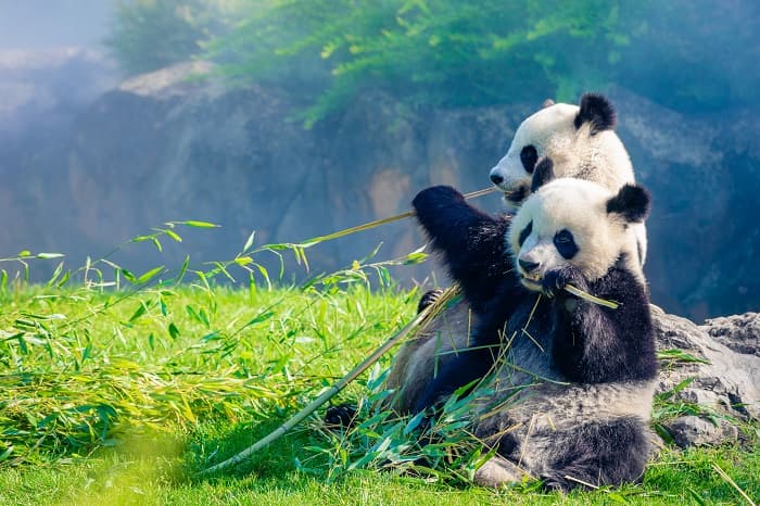 ゾルタンポズサー【13】世界秩序への挑戦者の出現